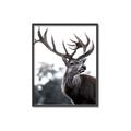 Picture of The Winter Deer _GroupedProduct_Rectangle_Portrait_Photography _GroupedProduct_Rectangle_Portrait_Canvas_Framed_