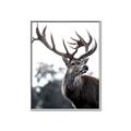Picture of The Winter Deer _GroupedProduct_Rectangle_Portrait_Photography _GroupedProduct_Rectangle_Portrait_Canvas_Framed_