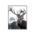 Picture of The Winter Deer _GroupedProduct_Rectangle_Portrait_Photography _GroupedProduct_Rectangle_Portrait_Canvas_Framed_