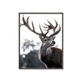 Picture of The Winter Deer _GroupedProduct_Rectangle_Portrait_Photography _GroupedProduct_Rectangle_Portrait_Canvas_Framed_