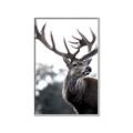 Picture of The Winter Deer _GroupedProduct_Rectangle_Portrait_Photography _GroupedProduct_Rectangle_Portrait_Canvas_Framed_