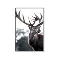 Picture of The Winter Deer _GroupedProduct_Rectangle_Portrait_Photography _GroupedProduct_Rectangle_Portrait_Canvas_Framed_