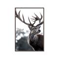 Picture of The Winter Deer _GroupedProduct_Rectangle_Portrait_Photography _GroupedProduct_Rectangle_Portrait_Canvas_Framed_