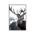 Picture of The Winter Deer _GroupedProduct_Rectangle_Portrait_Photography _GroupedProduct_Rectangle_Portrait_Canvas_Framed_