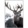 Picture of The Winter Deer _GroupedProduct_Rectangle_Portrait_Photography _GroupedProduct_Rectangle_Portrait_Canvas_Framed_