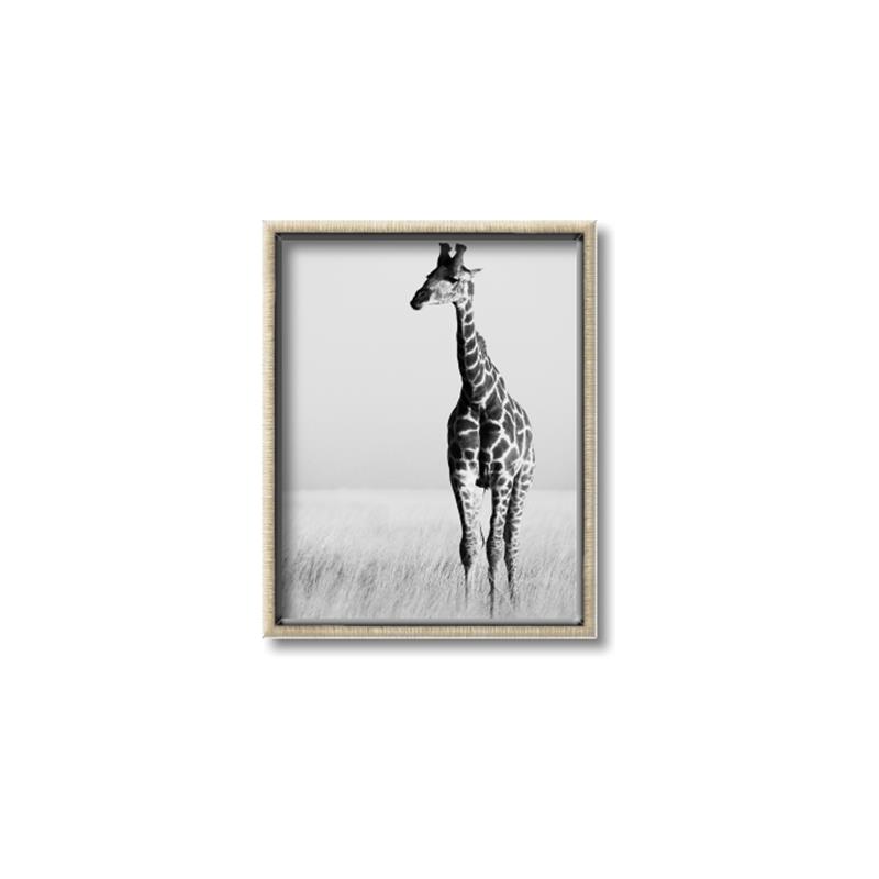 Picture of Through the Grass _GroupedProduct_Rectangle_Portrait_Photography _GroupedProduct_Rectangle_Portrait_Canvas_Framed_