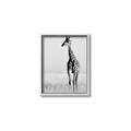 Picture of Through the Grass _GroupedProduct_Rectangle_Portrait_Photography _GroupedProduct_Rectangle_Portrait_Canvas_Framed_