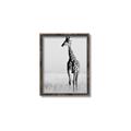 Picture of Through the Grass _GroupedProduct_Rectangle_Portrait_Photography _GroupedProduct_Rectangle_Portrait_Canvas_Framed_