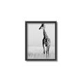 Picture of Through the Grass _GroupedProduct_Rectangle_Portrait_Photography _GroupedProduct_Rectangle_Portrait_Canvas_Framed_