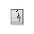Picture of Through the Grass _GroupedProduct_Rectangle_Portrait_Photography _GroupedProduct_Rectangle_Portrait_Canvas_Framed_
