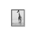 Picture of Through the Grass _GroupedProduct_Rectangle_Portrait_Photography _GroupedProduct_Rectangle_Portrait_Canvas_Framed_