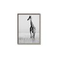 Picture of Through the Grass _GroupedProduct_Rectangle_Portrait_Photography _GroupedProduct_Rectangle_Portrait_Canvas_Framed_