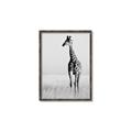 Picture of Through the Grass _GroupedProduct_Rectangle_Portrait_Photography _GroupedProduct_Rectangle_Portrait_Canvas_Framed_