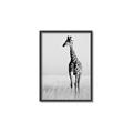 Picture of Through the Grass _GroupedProduct_Rectangle_Portrait_Photography _GroupedProduct_Rectangle_Portrait_Canvas_Framed_