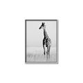 Picture of Through the Grass _GroupedProduct_Rectangle_Portrait_Photography _GroupedProduct_Rectangle_Portrait_Canvas_Framed_