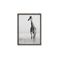 Picture of Through the Grass _GroupedProduct_Rectangle_Portrait_Photography _GroupedProduct_Rectangle_Portrait_Canvas_Framed_