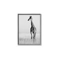 Picture of Through the Grass _GroupedProduct_Rectangle_Portrait_Photography _GroupedProduct_Rectangle_Portrait_Canvas_Framed_