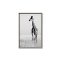 Picture of Through the Grass _GroupedProduct_Rectangle_Portrait_Photography _GroupedProduct_Rectangle_Portrait_Canvas_Framed_