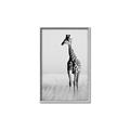 Picture of Through the Grass _GroupedProduct_Rectangle_Portrait_Photography _GroupedProduct_Rectangle_Portrait_Canvas_Framed_