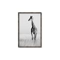 Picture of Through the Grass _GroupedProduct_Rectangle_Portrait_Photography _GroupedProduct_Rectangle_Portrait_Canvas_Framed_