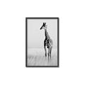 Picture of Through the Grass _GroupedProduct_Rectangle_Portrait_Photography _GroupedProduct_Rectangle_Portrait_Canvas_Framed_