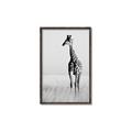 Picture of Through the Grass _GroupedProduct_Rectangle_Portrait_Photography _GroupedProduct_Rectangle_Portrait_Canvas_Framed_