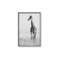 Picture of Through the Grass _GroupedProduct_Rectangle_Portrait_Photography _GroupedProduct_Rectangle_Portrait_Canvas_Framed_