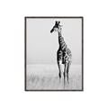 Picture of Through the Grass _GroupedProduct_Rectangle_Portrait_Photography _GroupedProduct_Rectangle_Portrait_Canvas_Framed_