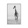 Picture of Through the Grass _GroupedProduct_Rectangle_Portrait_Photography _GroupedProduct_Rectangle_Portrait_Canvas_Framed_