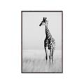 Picture of Through the Grass _GroupedProduct_Rectangle_Portrait_Photography _GroupedProduct_Rectangle_Portrait_Canvas_Framed_