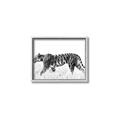Picture of Tiger Path _GroupedProduct_Rectangle_Landscape_Photography _GroupedProduct_Rectangle_Landscape_Canvas_Framed_