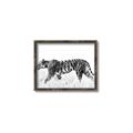 Picture of Tiger Path _GroupedProduct_Rectangle_Landscape_Photography _GroupedProduct_Rectangle_Landscape_Canvas_Framed_