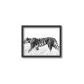 Picture of Tiger Path _GroupedProduct_Rectangle_Landscape_Photography _GroupedProduct_Rectangle_Landscape_Canvas_Framed_