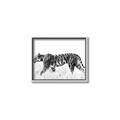 Picture of Tiger Path _GroupedProduct_Rectangle_Landscape_Photography _GroupedProduct_Rectangle_Landscape_Canvas_Framed_