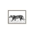 Picture of Tiger Path _GroupedProduct_Rectangle_Landscape_Photography _GroupedProduct_Rectangle_Landscape_Canvas_Framed_