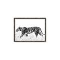 Picture of Tiger Path _GroupedProduct_Rectangle_Landscape_Photography _GroupedProduct_Rectangle_Landscape_Canvas_Framed_