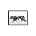 Picture of Tiger Path _GroupedProduct_Rectangle_Landscape_Photography _GroupedProduct_Rectangle_Landscape_Canvas_Framed_