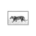 Picture of Tiger Path _GroupedProduct_Rectangle_Landscape_Photography _GroupedProduct_Rectangle_Landscape_Canvas_Framed_