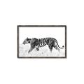 Picture of Tiger Path _GroupedProduct_Rectangle_Landscape_Photography _GroupedProduct_Rectangle_Landscape_Canvas_Framed_
