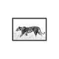 Picture of Tiger Path _GroupedProduct_Rectangle_Landscape_Photography _GroupedProduct_Rectangle_Landscape_Canvas_Framed_