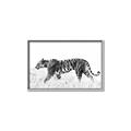 Picture of Tiger Path _GroupedProduct_Rectangle_Landscape_Photography _GroupedProduct_Rectangle_Landscape_Canvas_Framed_