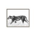 Picture of Tiger Path _GroupedProduct_Rectangle_Landscape_Photography _GroupedProduct_Rectangle_Landscape_Canvas_Framed_