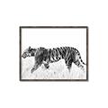 Picture of Tiger Path _GroupedProduct_Rectangle_Landscape_Photography _GroupedProduct_Rectangle_Landscape_Canvas_Framed_