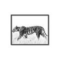 Picture of Tiger Path _GroupedProduct_Rectangle_Landscape_Photography _GroupedProduct_Rectangle_Landscape_Canvas_Framed_