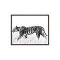 Picture of Tiger Path _GroupedProduct_Rectangle_Landscape_Photography _GroupedProduct_Rectangle_Landscape_Canvas_Framed_