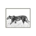 Picture of Tiger Path _GroupedProduct_Rectangle_Landscape_Photography _GroupedProduct_Rectangle_Landscape_Canvas_Framed_