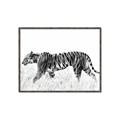 Picture of Tiger Path _GroupedProduct_Rectangle_Landscape_Photography _GroupedProduct_Rectangle_Landscape_Canvas_Framed_
