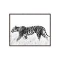 Picture of Tiger Path _GroupedProduct_Rectangle_Landscape_Photography _GroupedProduct_Rectangle_Landscape_Canvas_Framed_