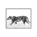 Picture of Tiger Path _GroupedProduct_Rectangle_Landscape_Photography _GroupedProduct_Rectangle_Landscape_Canvas_Framed_