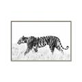 Picture of Tiger Path _GroupedProduct_Rectangle_Landscape_Photography _GroupedProduct_Rectangle_Landscape_Canvas_Framed_